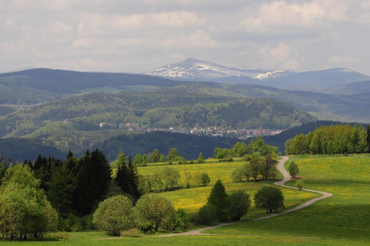Na Svahu, Krkonose Zacler